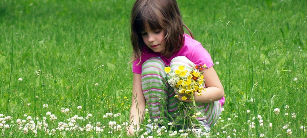 You are currently viewing MARTIE LA COMPANIA MICA