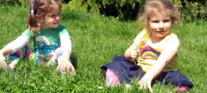 Read more about the article Mai la Compania Mica