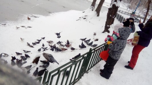 Cu iesitul afara… la Compania Mica